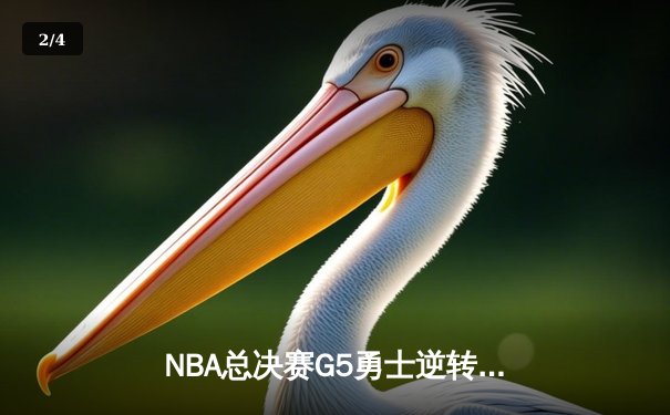 NBA总决赛G5勇士逆转取胜，库里37分加冕FMVP，维金斯关键防守定乾坤 - 2